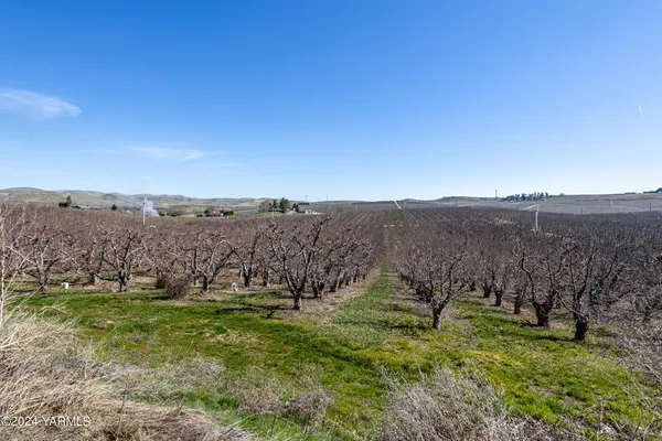 a view of a field with trees in the background