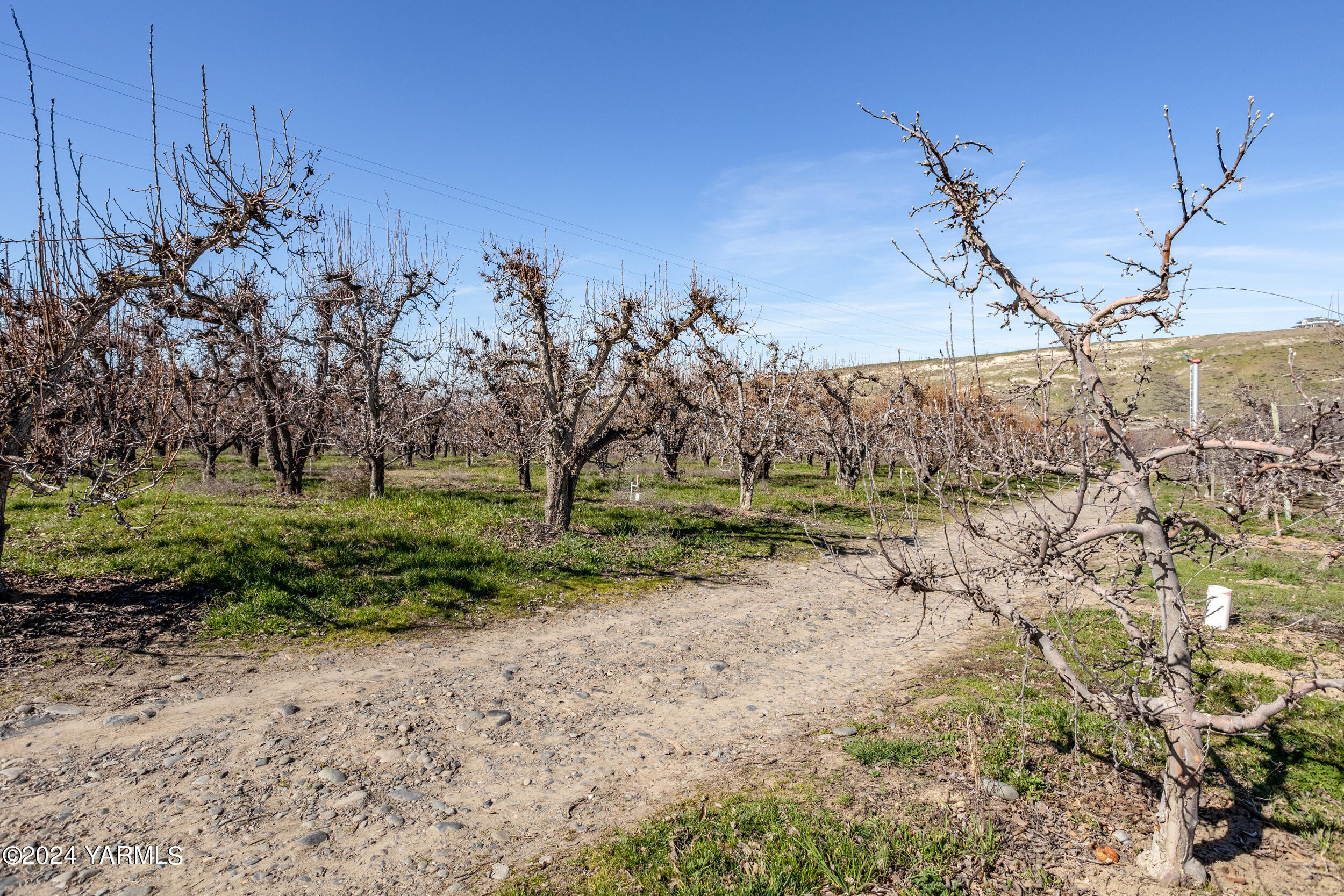 4851 Lombard Loop Road Zillah, WA 98953 - Photo 35 of 42 a view of a field