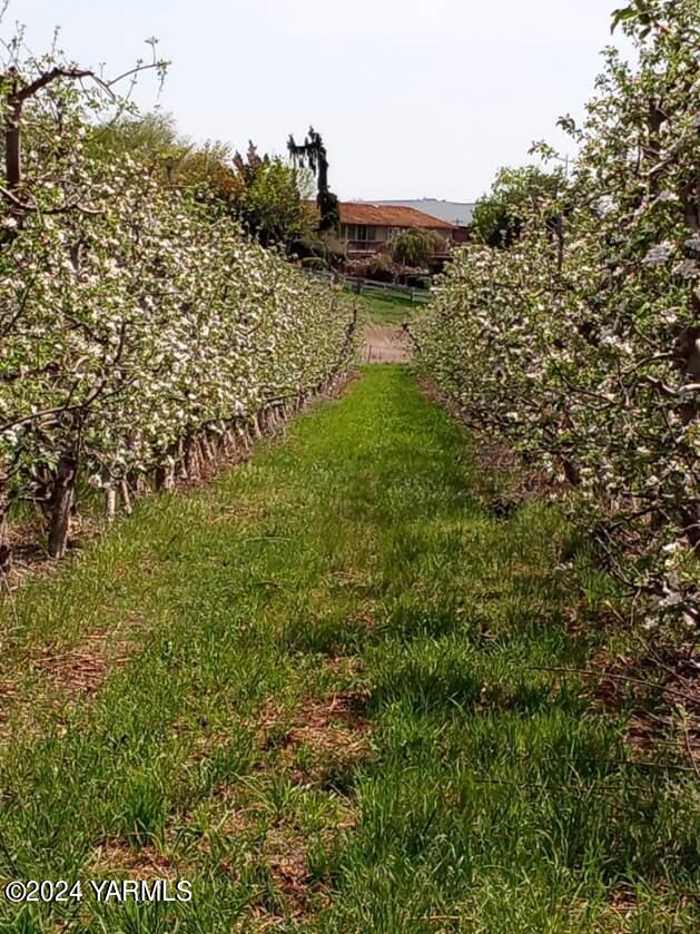 4851 Lombard Loop Road Zillah, WA 98953 - Photo 5 of 42 a view of lake