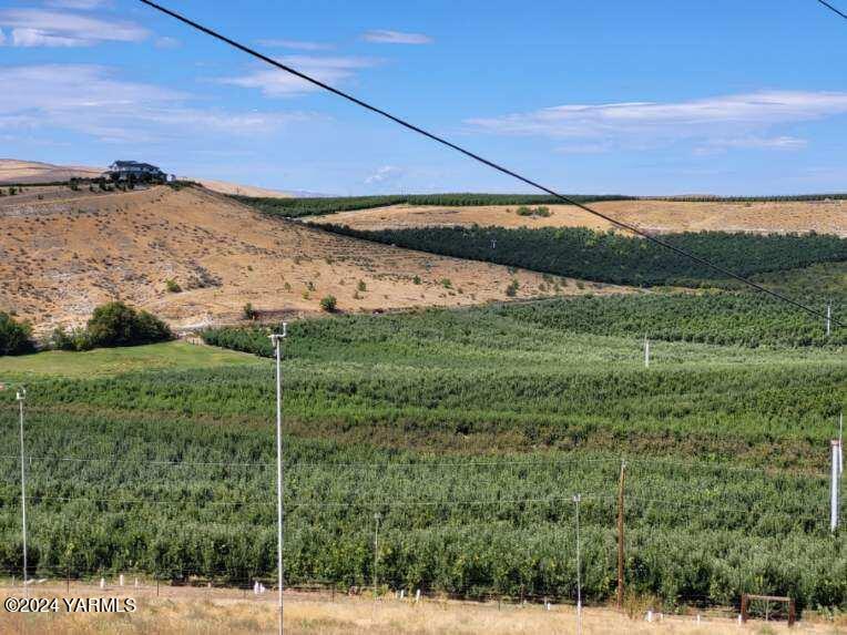 4851 Lombard Loop Road Zillah, WA 98953 - Photo 10 of 42 a view of a backyard