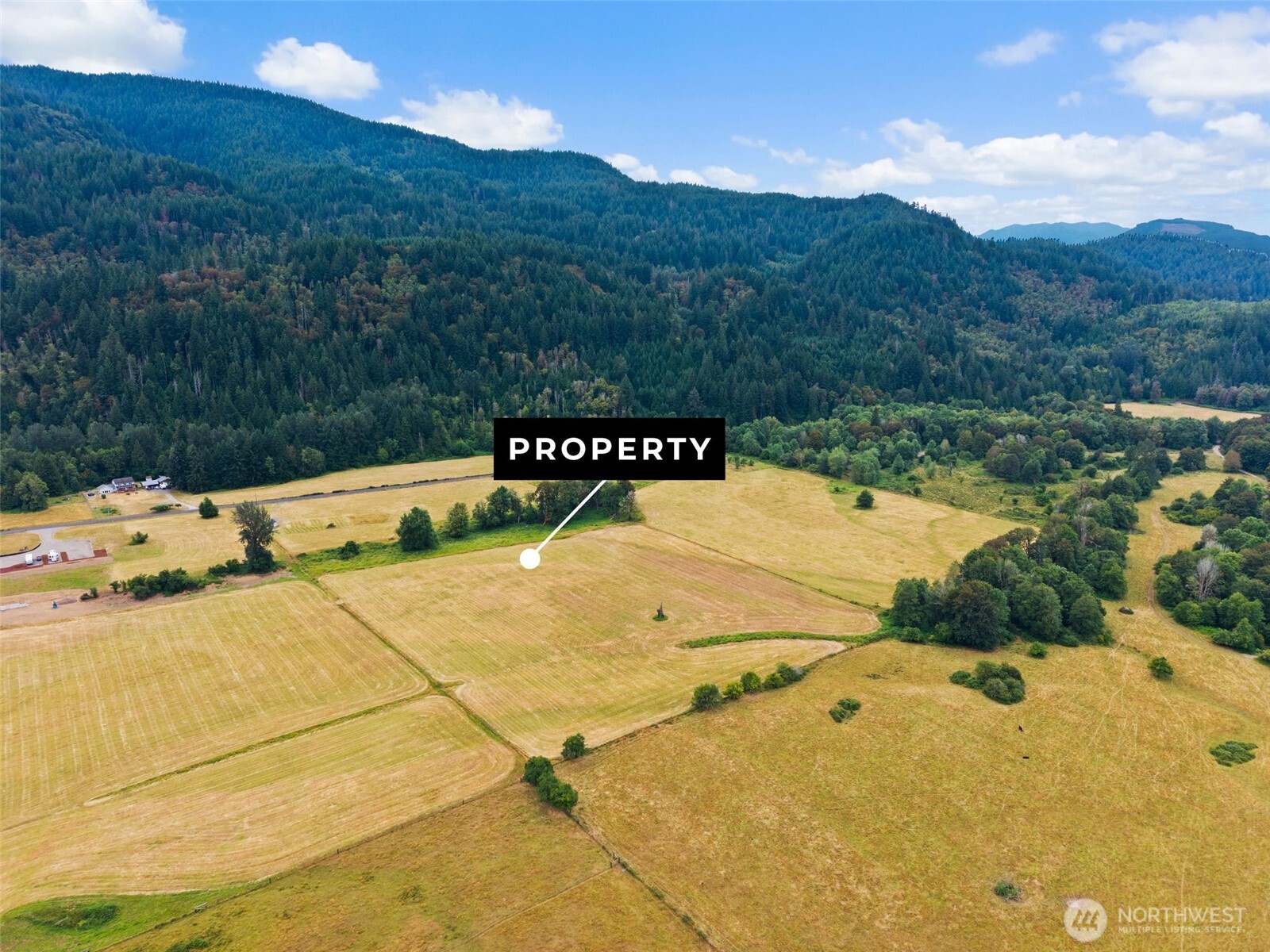 1211 Cline Road Randle, WA 98377 - Photo 8 of 14 Gallery Image 8