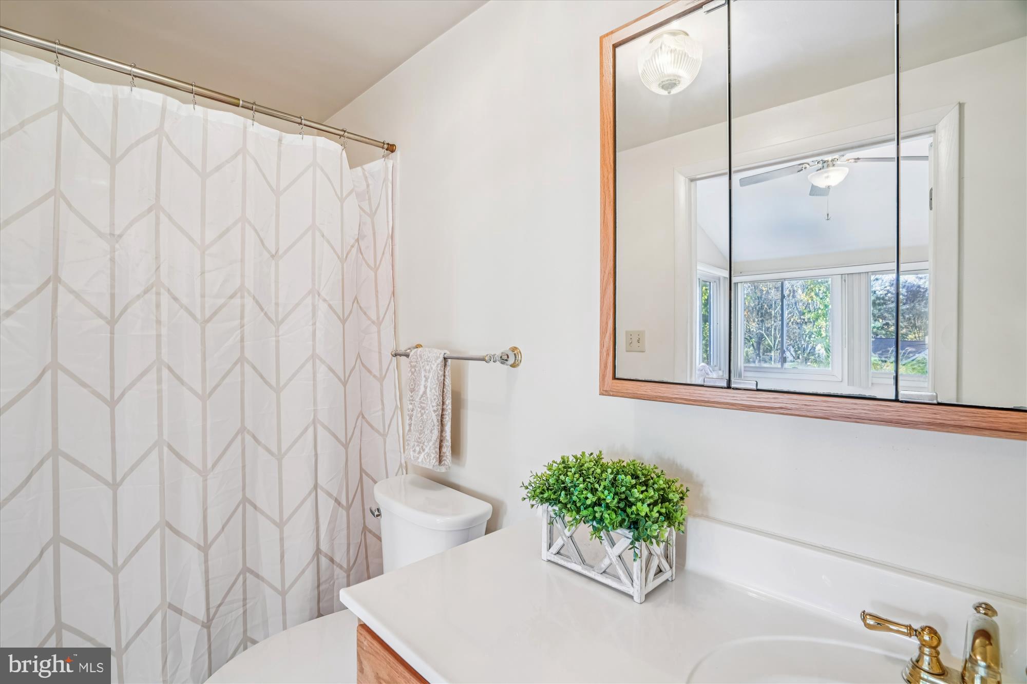 5134 West Running Brook Road Columbia, MD 21044 - Photo 41 of 99 VANITY W/ STORAGE & TUB SHOWER