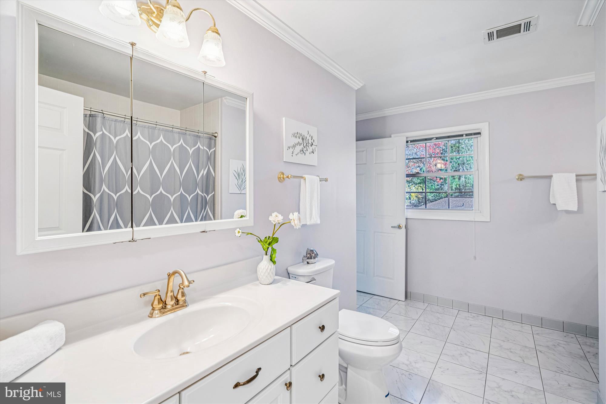 5134 West Running Brook Road Columbia, MD 21044 - Photo 52 of 99 a bathroom with a sink a toilet and a mirror