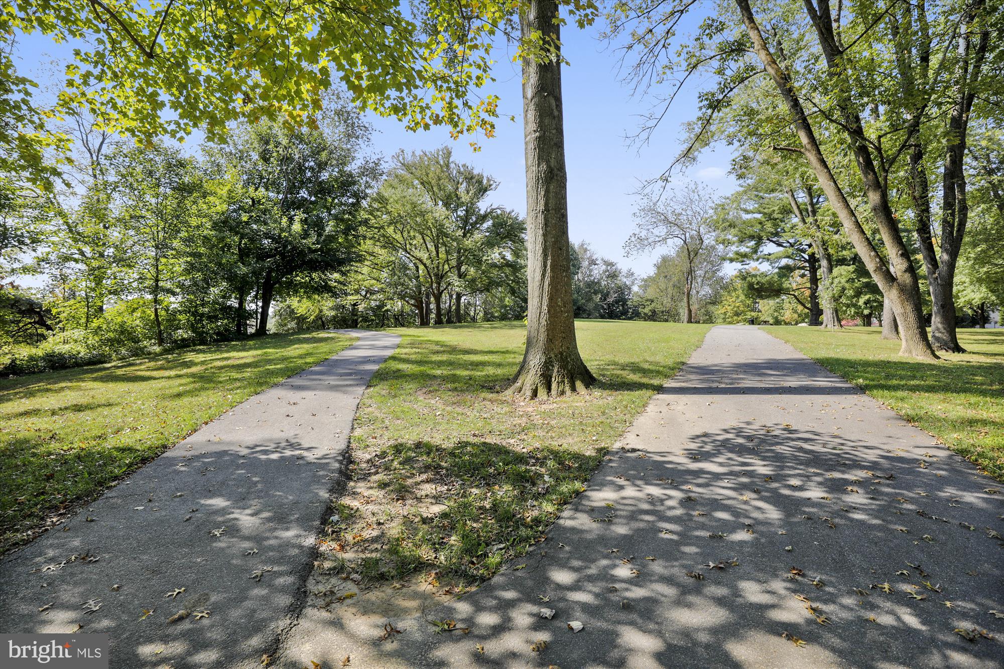 5134 West Running Brook Road Columbia, MD 21044 - Photo 86 of 99 a view of a tree in the middle of a yard