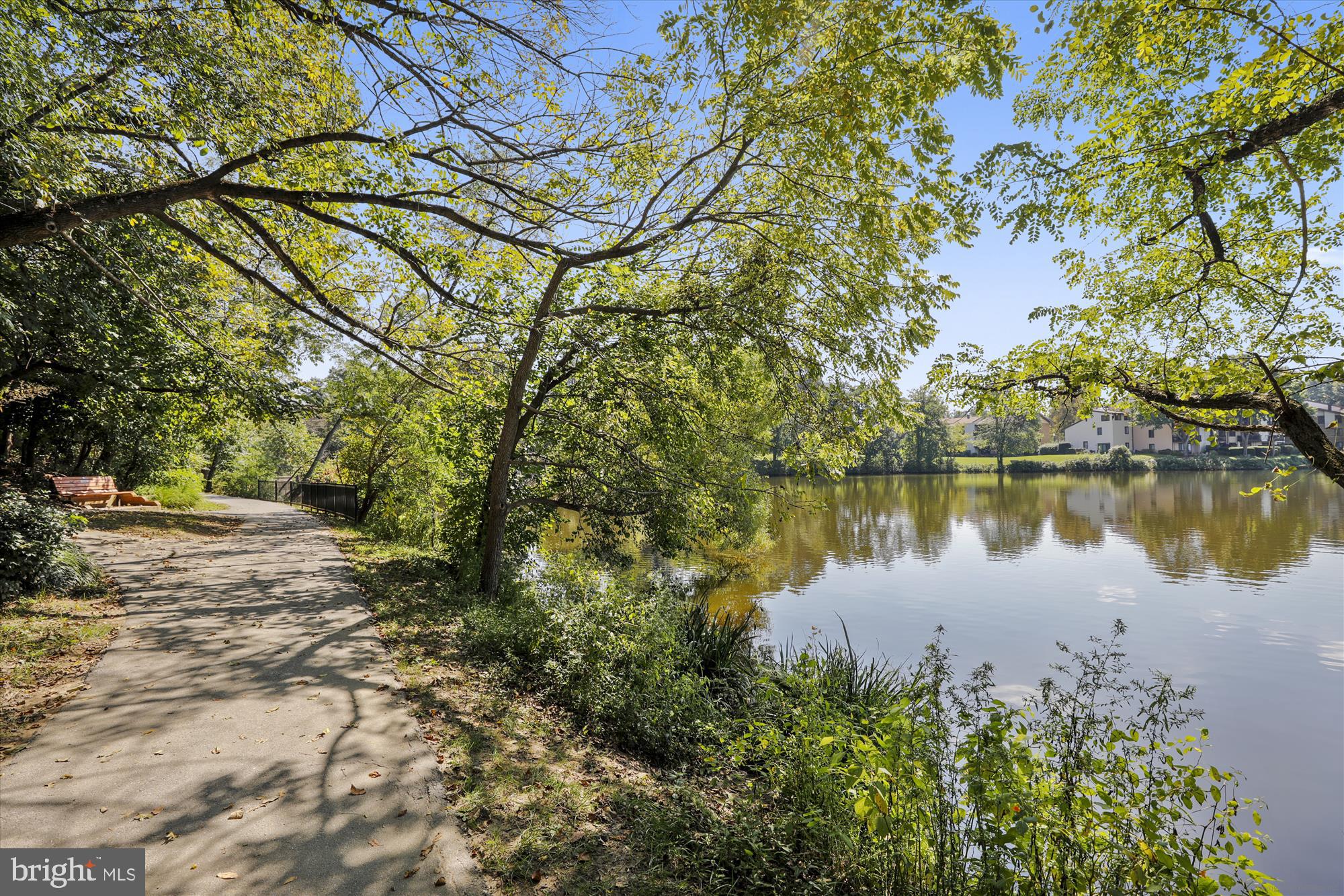5134 West Running Brook Road Columbia, MD 21044 - Photo 88 of 99 a view of a lake with a tree