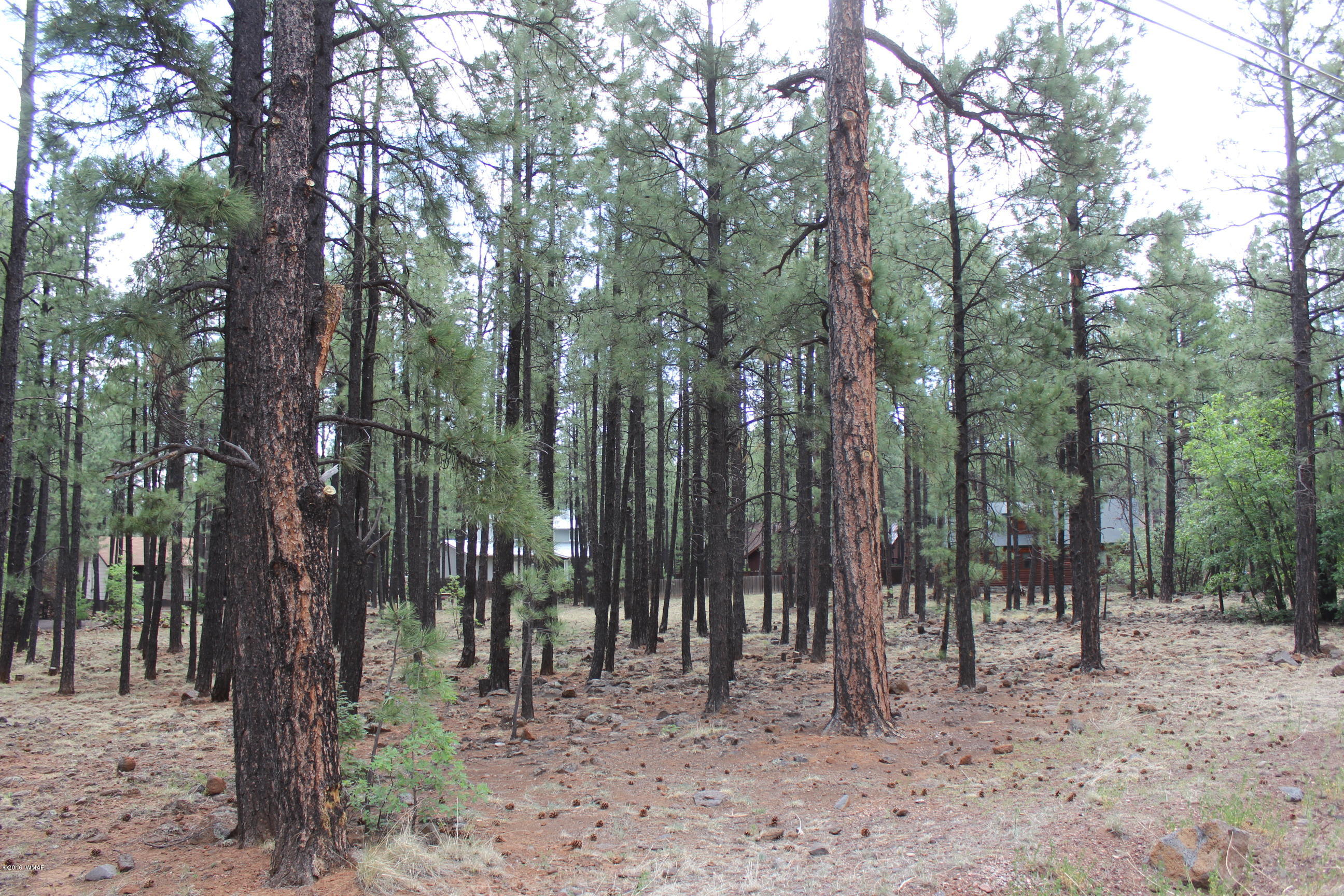 7660 Buck Springs Road, Unit CUL Pinetop, AZ 85935 - Photo 1 of 1