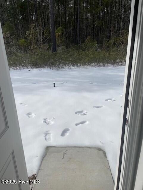 458 Ladyfish Loop Northwest, Unit LOT 59 LOOKOUT Sunset Beach, NC 28468 - Photo 11 of 19 10 backyard