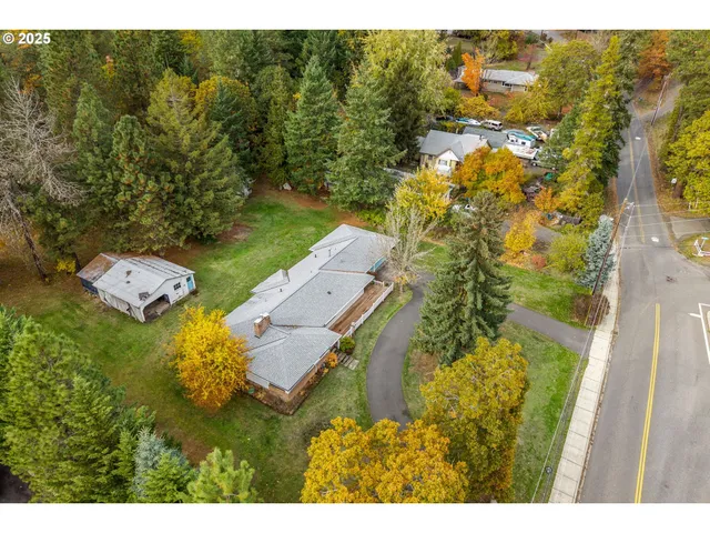a view of yard with trees