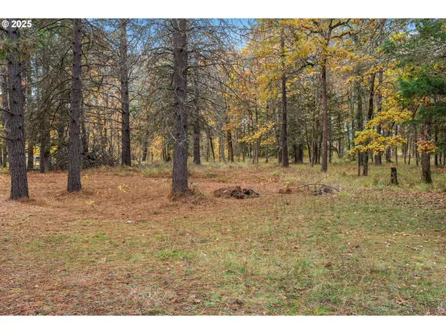 a picture of floor plan