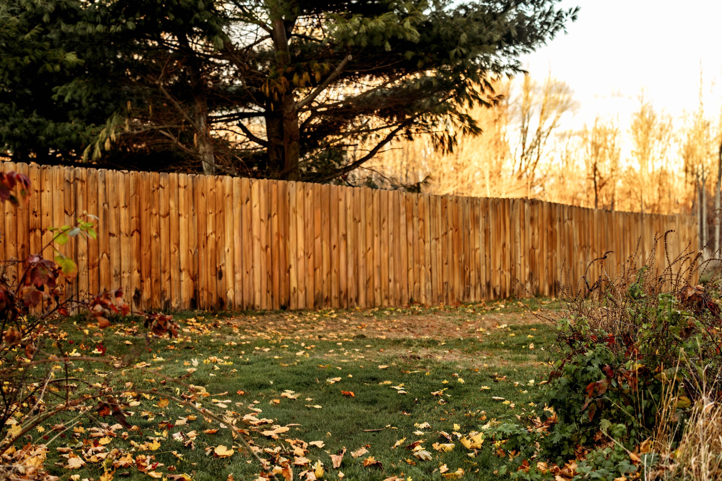 48 Main Road Charleston, ME 04422 - Photo 75 of 84 Backyard3