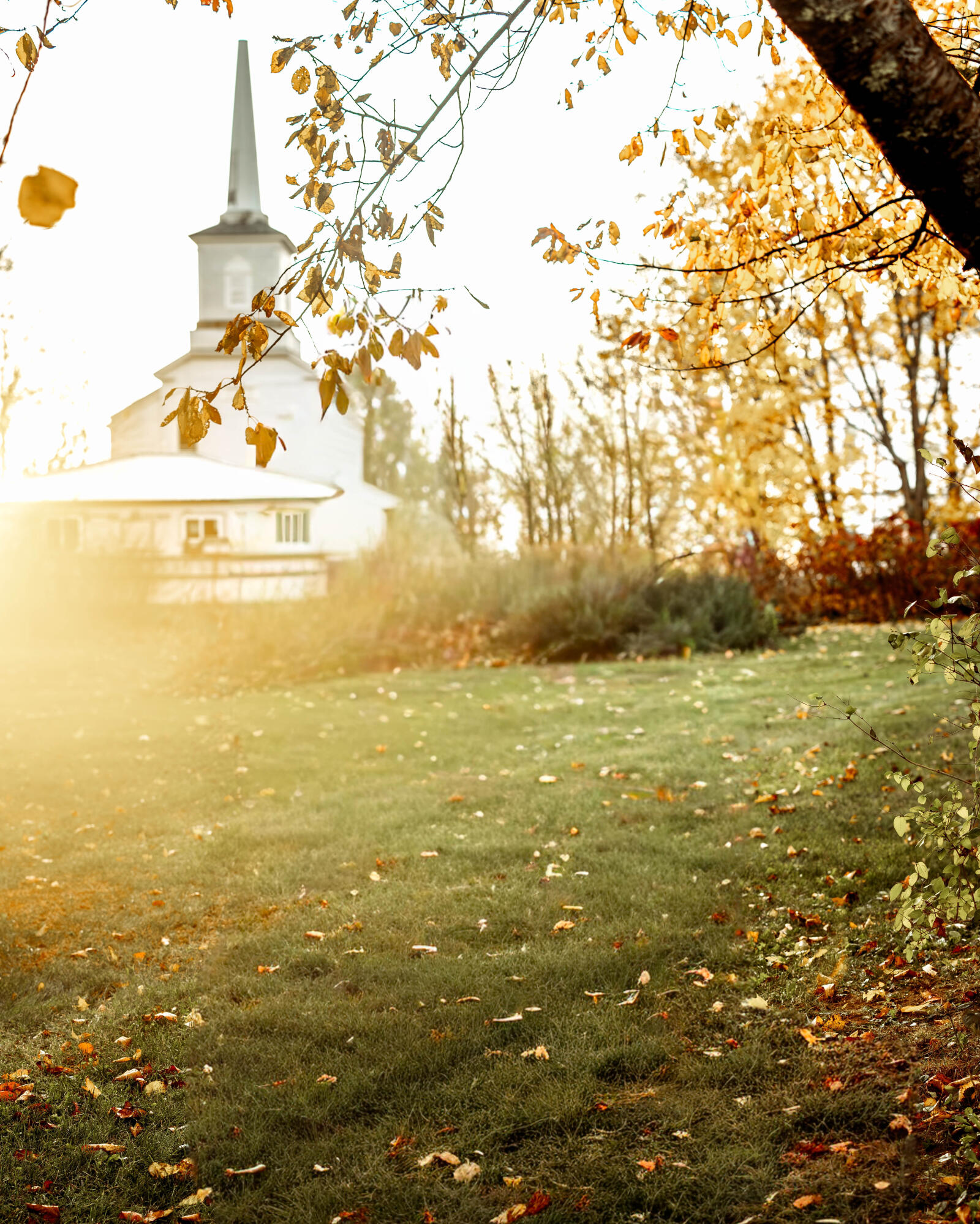 48 Main Road Charleston, ME 04422 - Photo 76 of 84 Backyard11