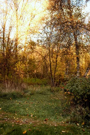 $339,900 | 48 Main Road, Charleston, ME 04422