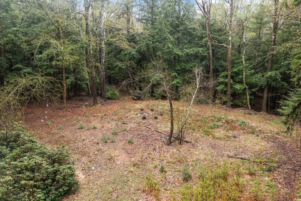 42 Bowl Road Richmond, NH 03470 - Photo 5 of 20 a backyard of a house with lots of green space