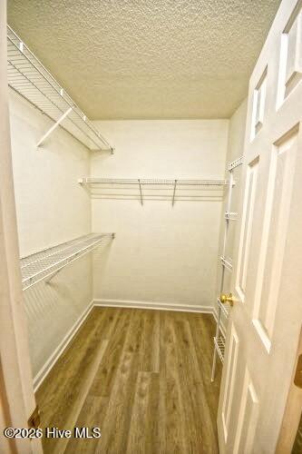 6912 Springer Road Wilmington, NC 28411 - Photo 18 of 28 Master Closet