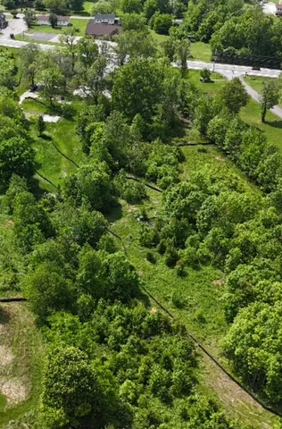 a view of a lush green forest with lots of trees