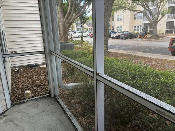 $1,800 | 3314 Haviland Court, Unit 104, Palm Harbor, FL 34684