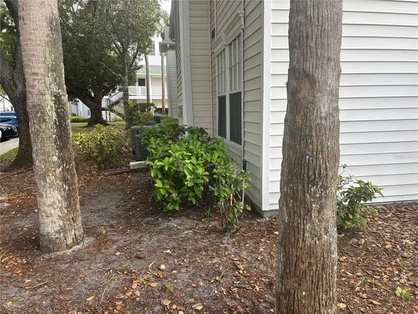 $1,800 | 3314 Haviland Court, Unit 104, Palm Harbor, FL 34684