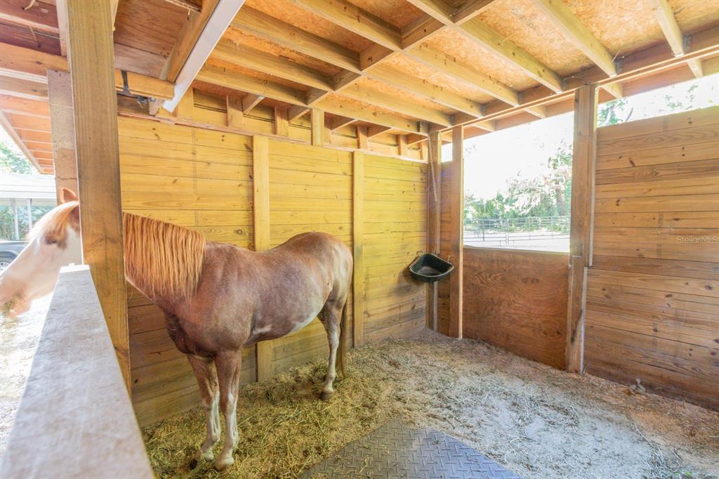 560 North Lake Pleasant Road Apopka, FL 32712 - Photo 29 of 85