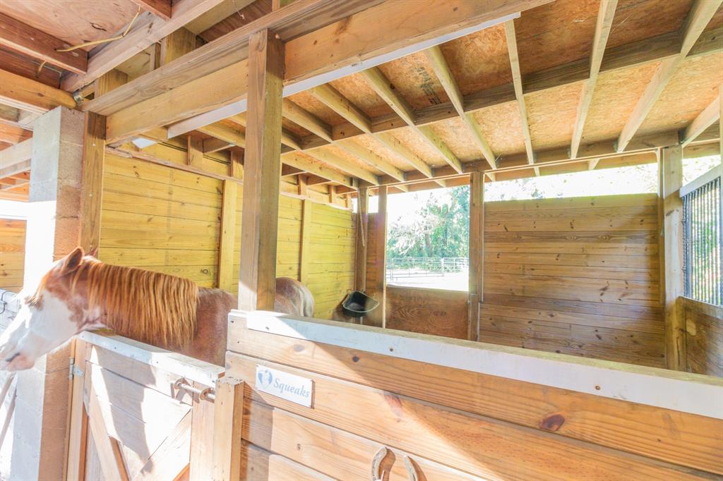 560 North Lake Pleasant Road Apopka, FL 32712 - Photo 31 of 85