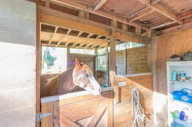 a view of outdoor space