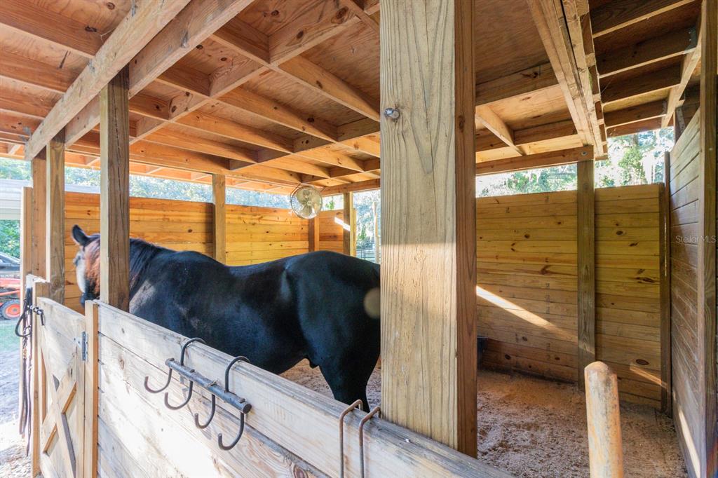 560 North Lake Pleasant Road Apopka, FL 32712 - Photo 36 of 85