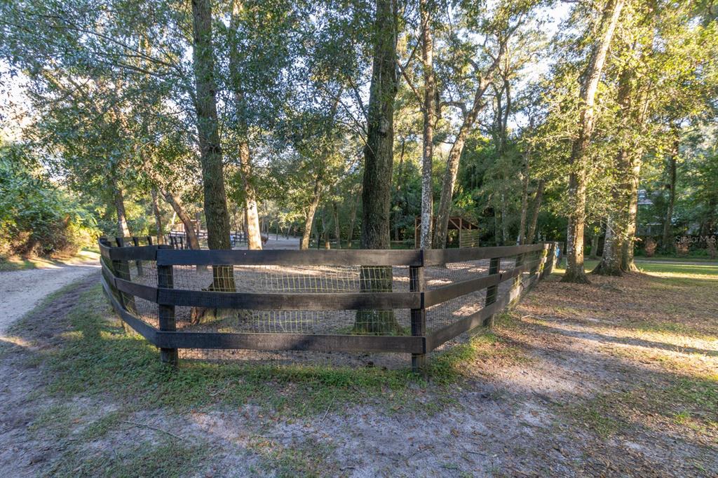 560 North Lake Pleasant Road Apopka, FL 32712 - Photo 74 of 85 a view of park with trees