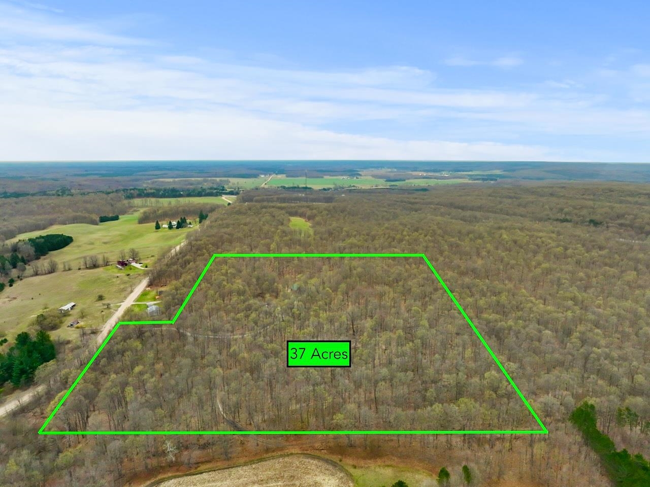 104 South 25 Road Mesick, MI 49668 - Photo 8 of 84