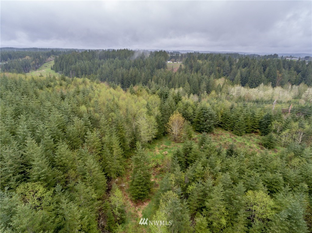 3 Haywire Road Napavine, WA 98532 - Photo 1 of 23