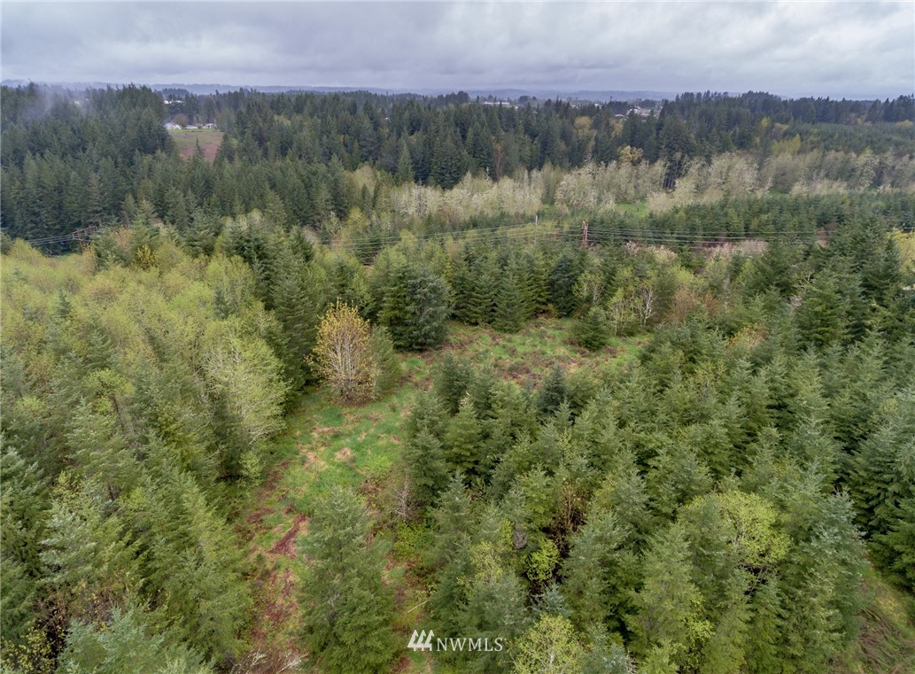 3 Haywire Road Napavine, WA 98532 - Photo 2 of 23