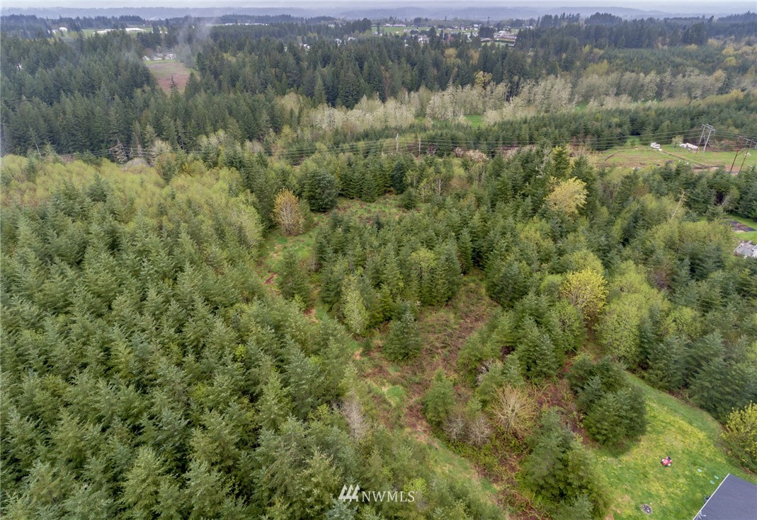3 Haywire Road Napavine, WA 98532 - Photo 12 of 23
