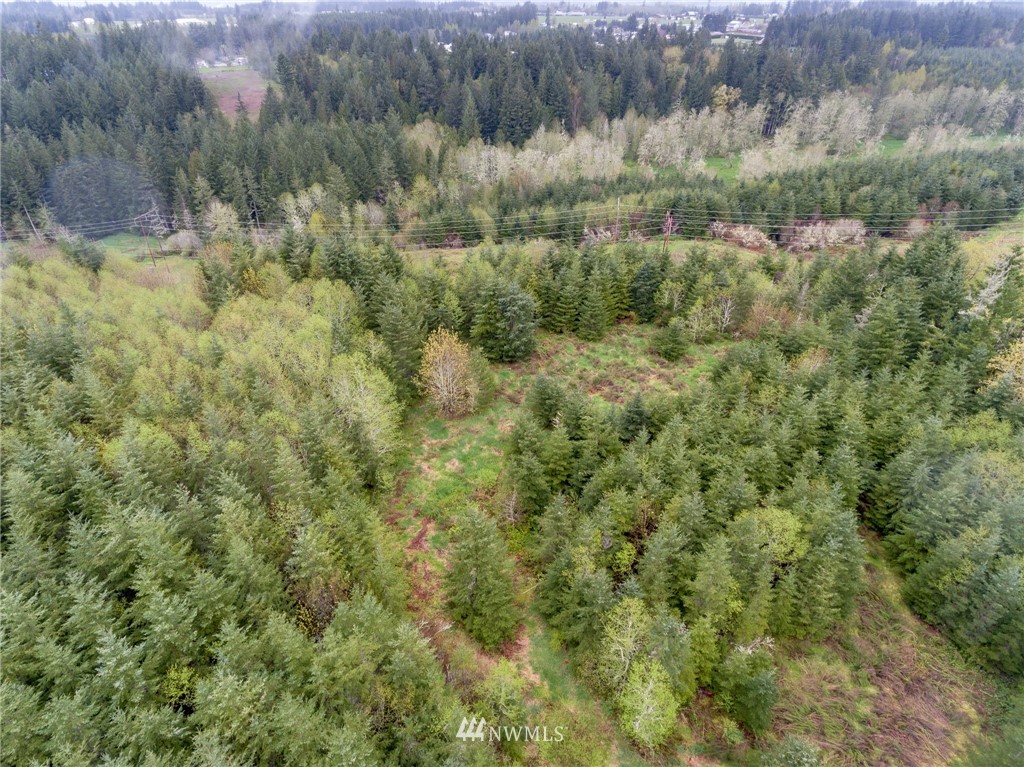 3 Haywire Road Napavine, WA 98532 - Photo 13 of 23