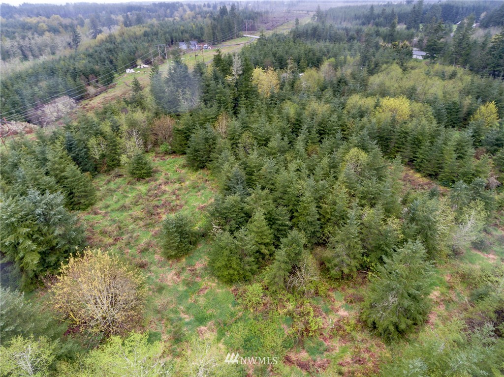 3 Haywire Road Napavine, WA 98532 - Photo 14 of 23