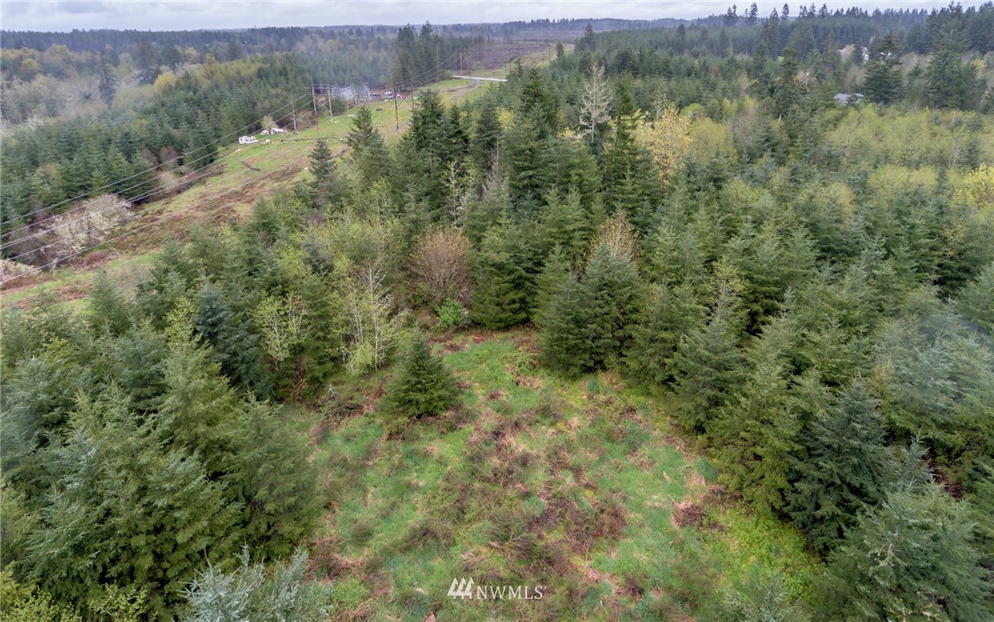 3 Haywire Road Napavine, WA 98532 - Photo 15 of 23