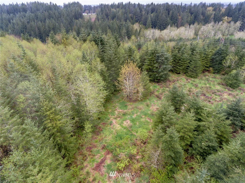 3 Haywire Road Napavine, WA 98532 - Photo 19 of 23