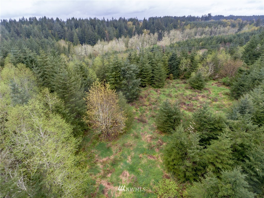 3 Haywire Road Napavine, WA 98532 - Photo 20 of 23