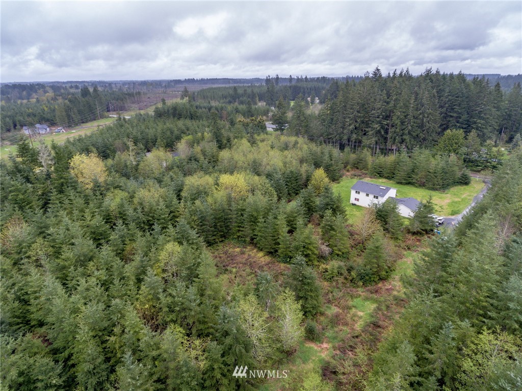 3 Haywire Road Napavine, WA 98532 - Photo 3 of 23