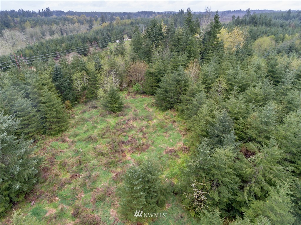 3 Haywire Road Napavine, WA 98532 - Photo 21 of 23