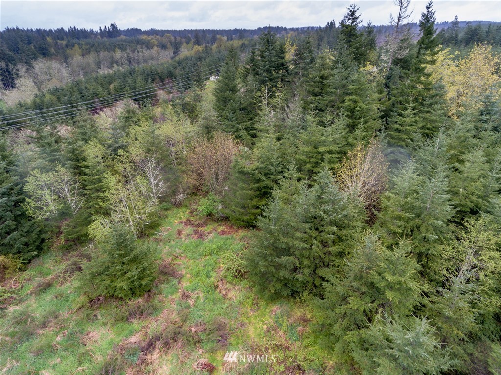 3 Haywire Road Napavine, WA 98532 - Photo 22 of 23
