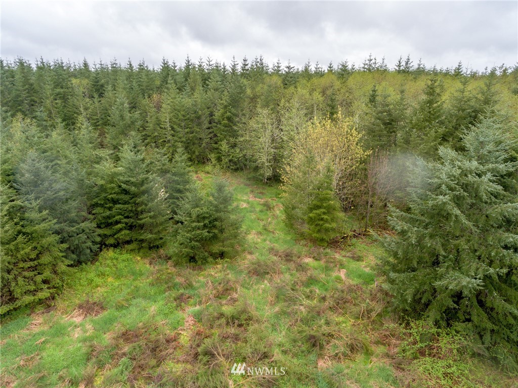 3 Haywire Road Napavine, WA 98532 - Photo 23 of 23