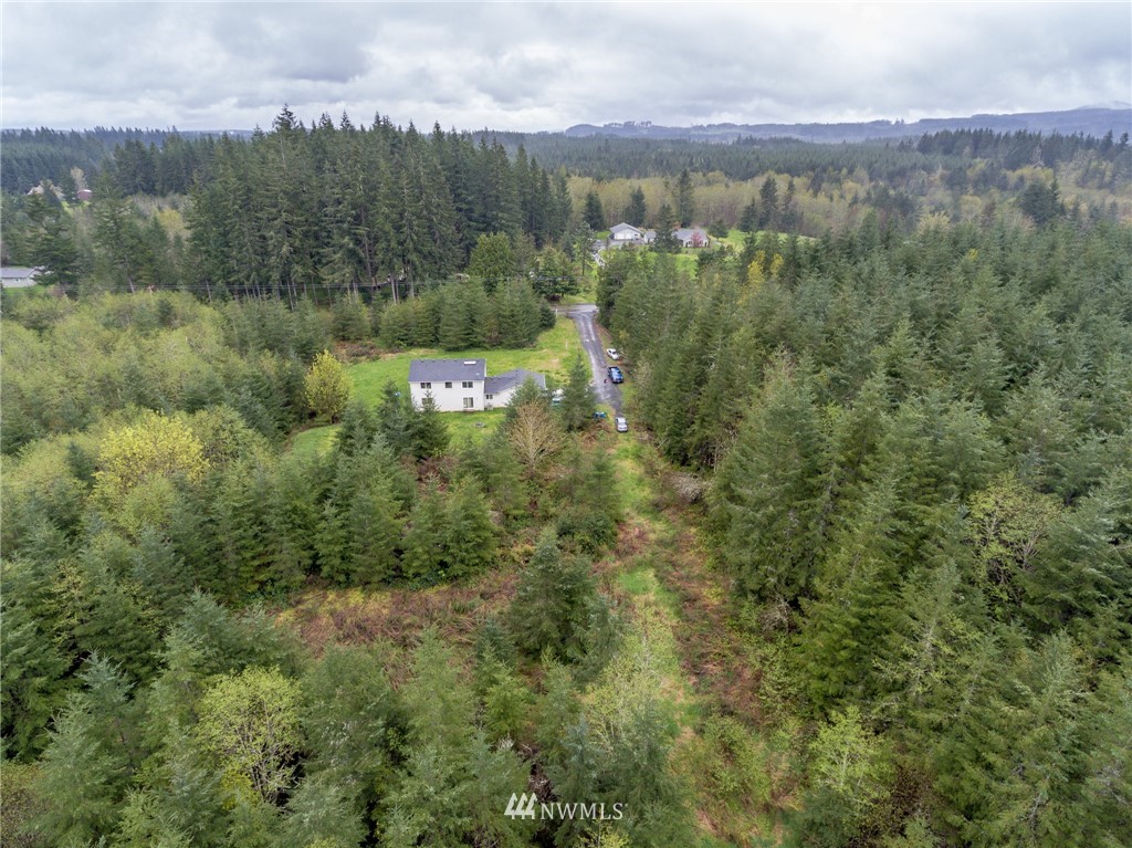 3 Haywire Road Napavine, WA 98532 - Photo 4 of 23
