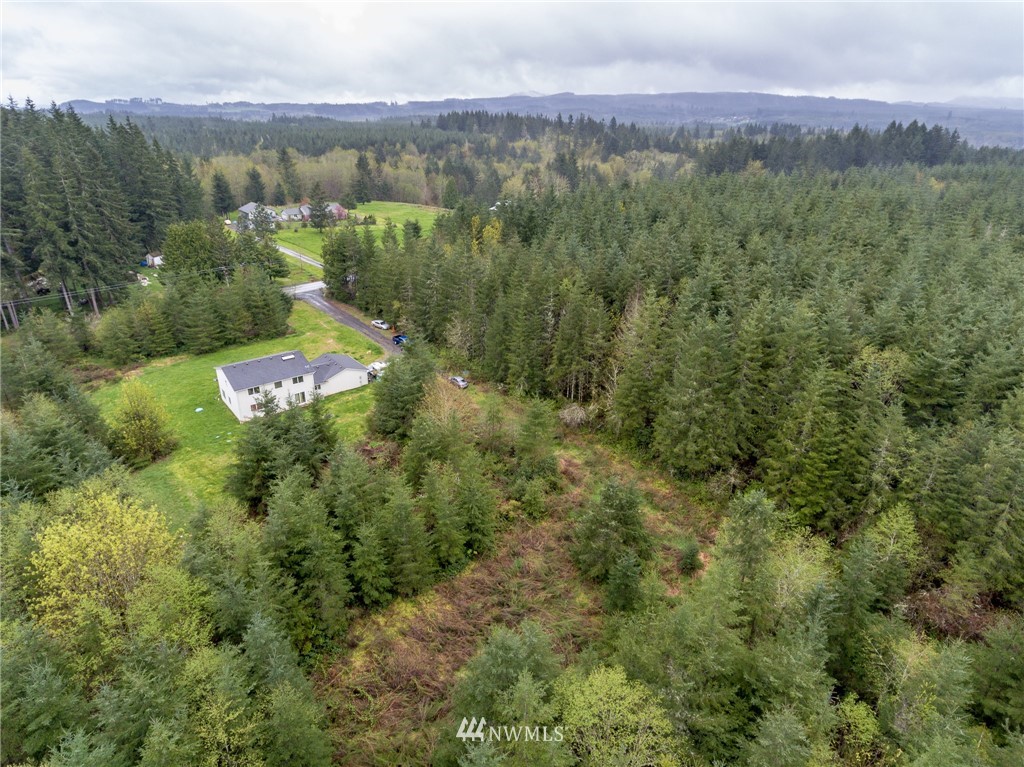3 Haywire Road Napavine, WA 98532 - Photo 5 of 23