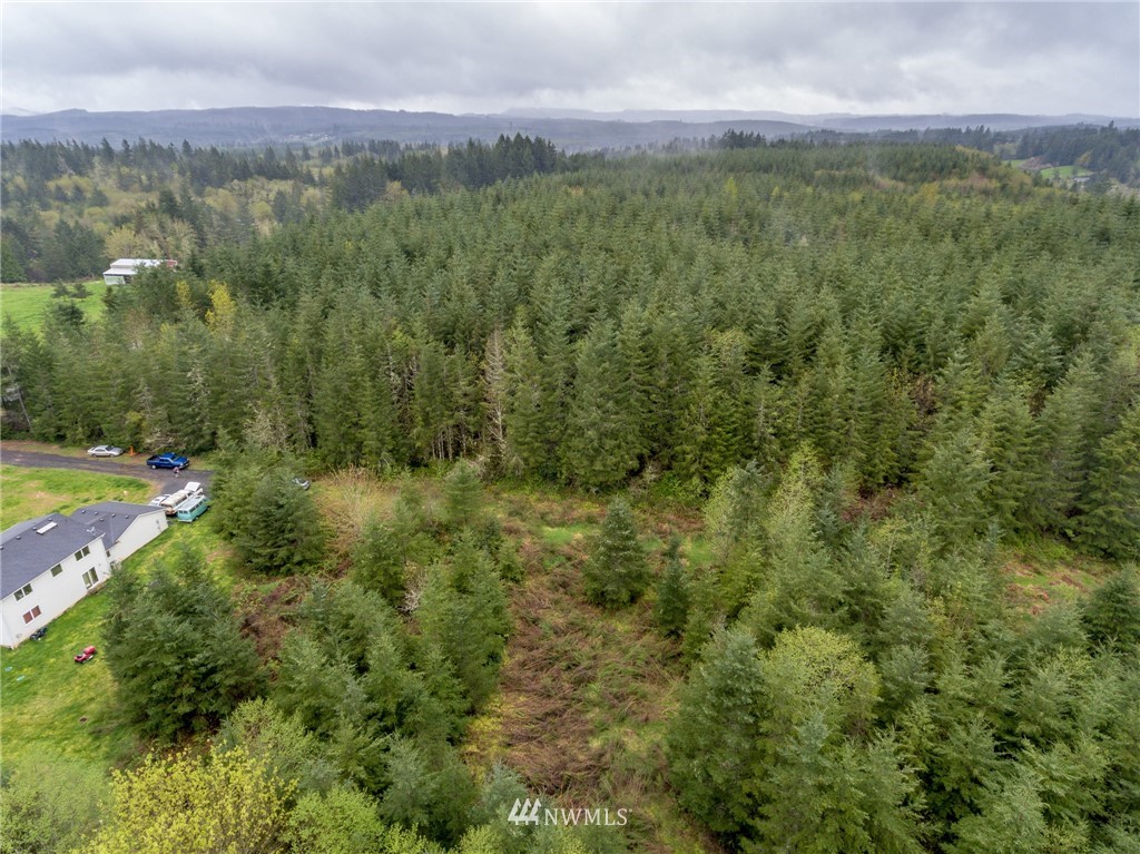 3 Haywire Road Napavine, WA 98532 - Photo 6 of 23