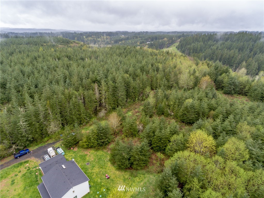 3 Haywire Road Napavine, WA 98532 - Photo 7 of 23