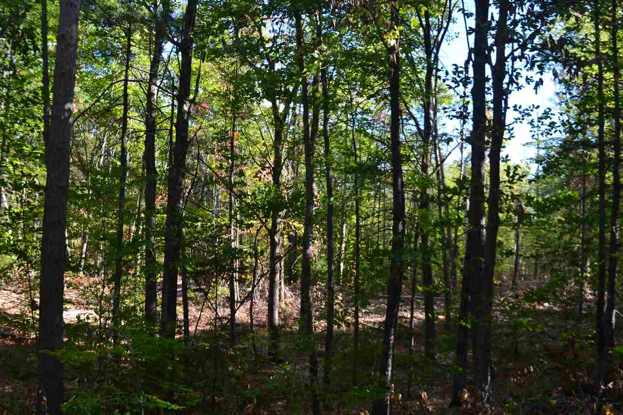 365 Currier Road Hill, NH 03243 - Photo 4 of 4