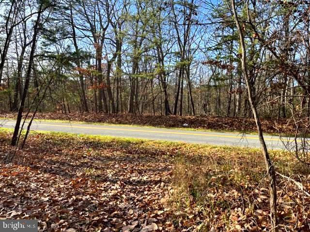 53.5 Acres all wooded