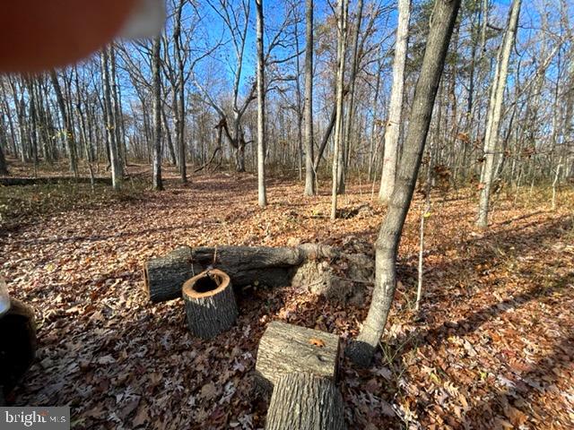 North Timber Ridge Road, Unit 900 Cross Junction, VA 22625 - Photo 2 of 4 Beautiful land, rolling, numerous building spots
