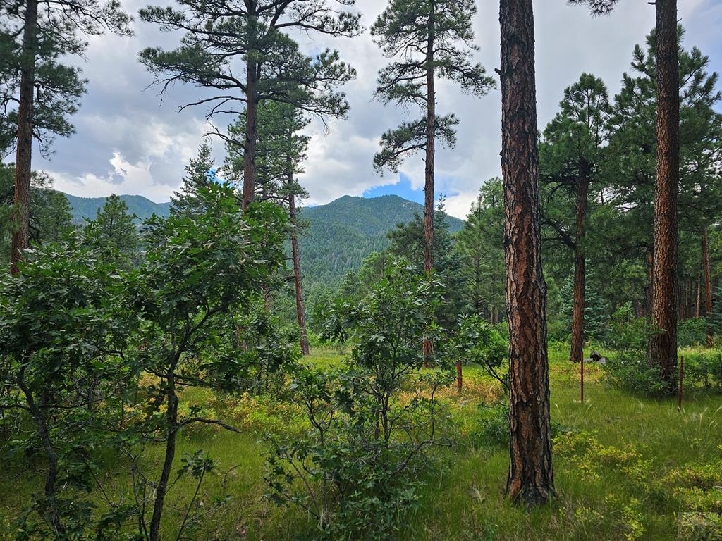 1 Zorn Road Rye, CO 81069 - Photo 1 of 9