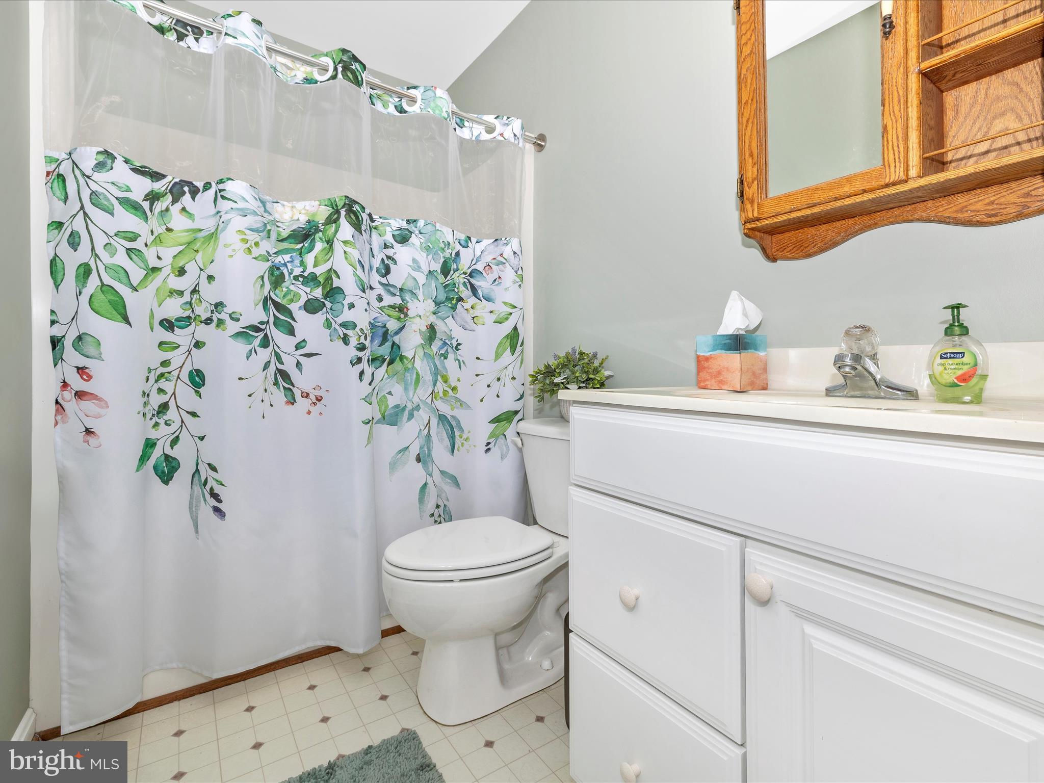 9503 Childacrest Drive Boonsboro, MD 21713 - Photo 39 of 59 a bathroom with a sink and toilet