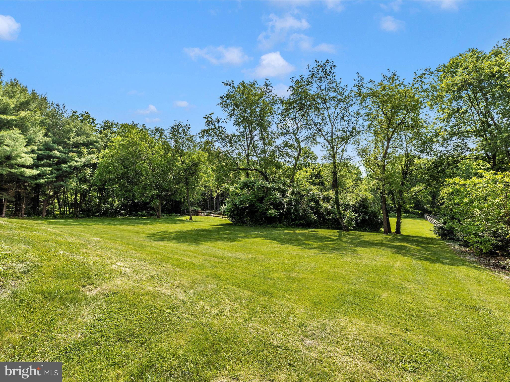 9503 Childacrest Drive Boonsboro, MD 21713 - Photo 51 of 59 a view of a trees in a yard