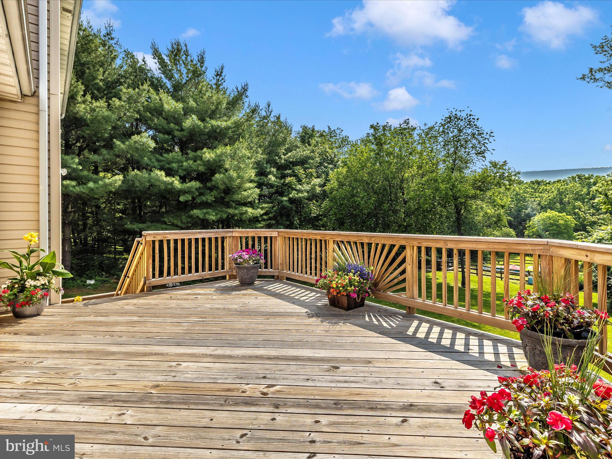 9503 Childacrest Drive Boonsboro, MD 21713 - Photo 52 of 59 Exterior Deck